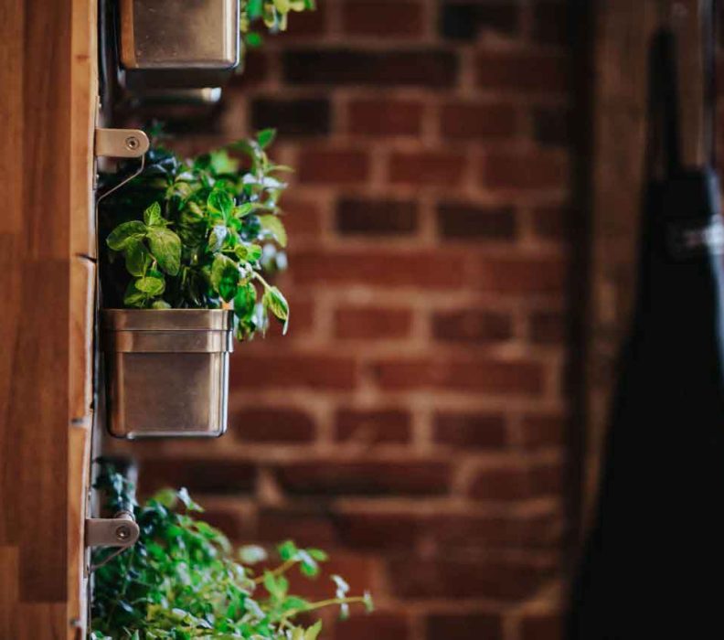 7 Must Haves For Your Eco Friendly Home
